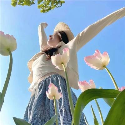 挎斗摩托车里的狗